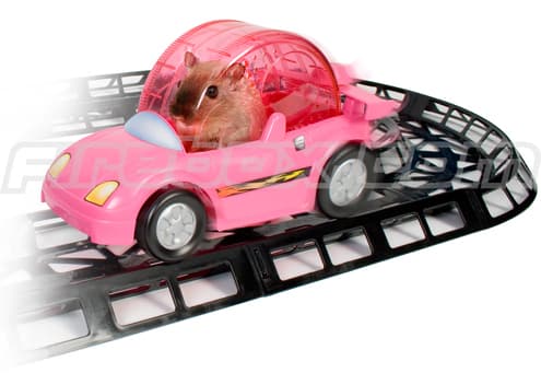Hamster Driving a Car