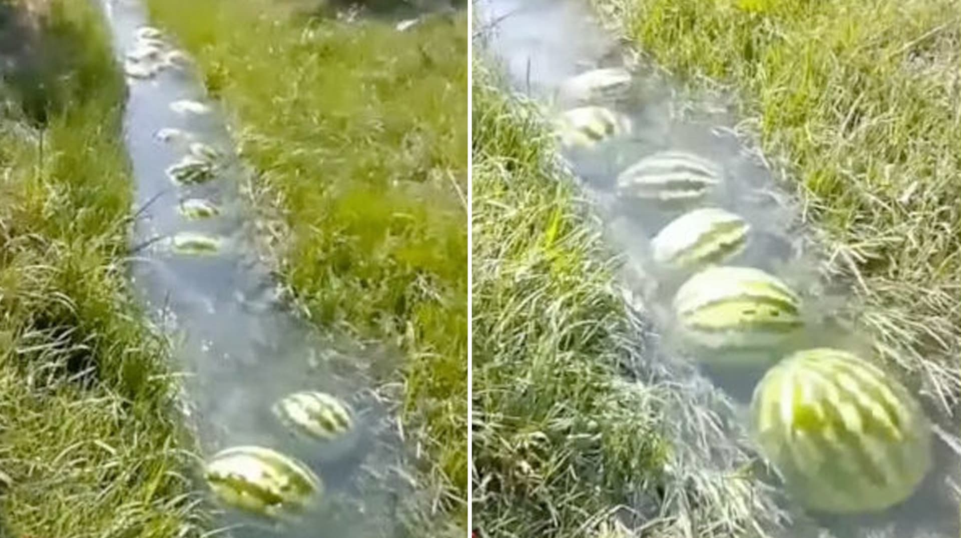 Watermelon River