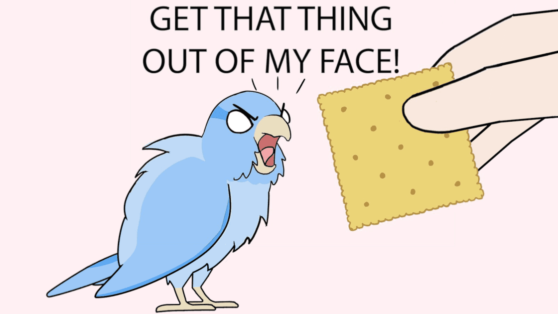 Get That Thing Out Of My Face! (Bird Cracker)
