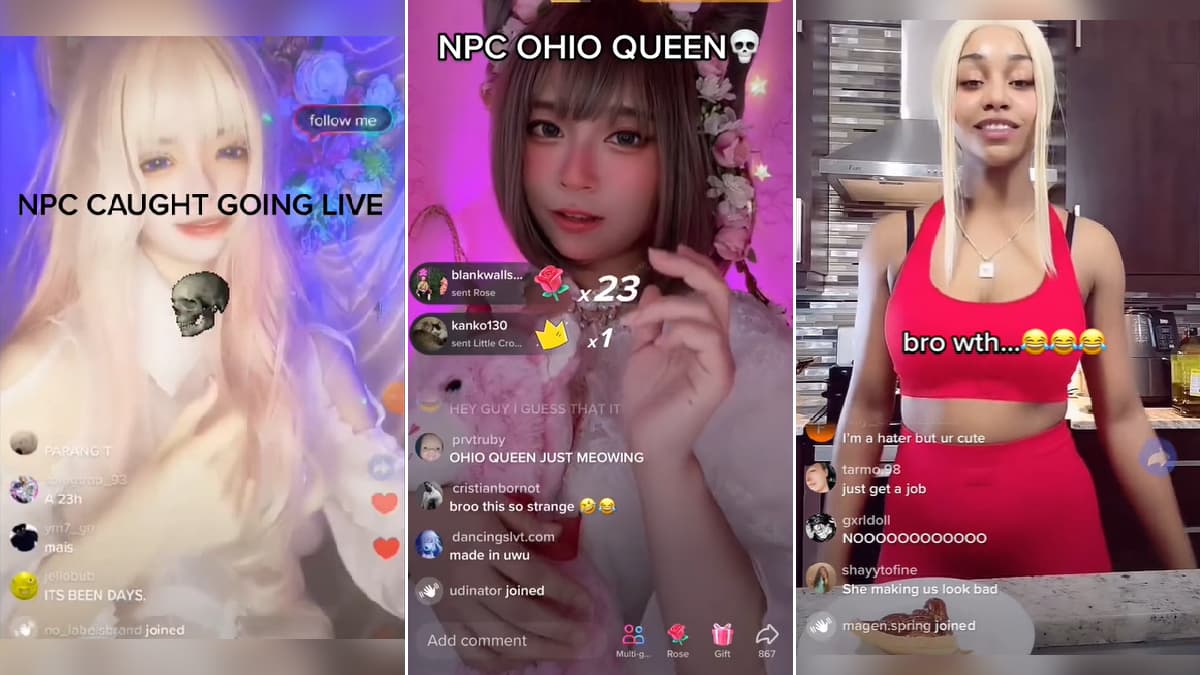NPC Streaming